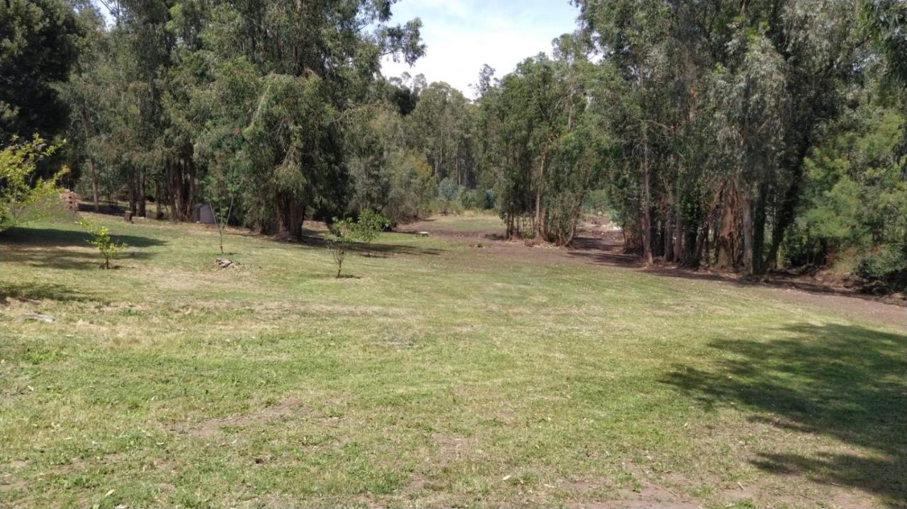 El Bosque De Las Animas Villa Tandil Exterior foto